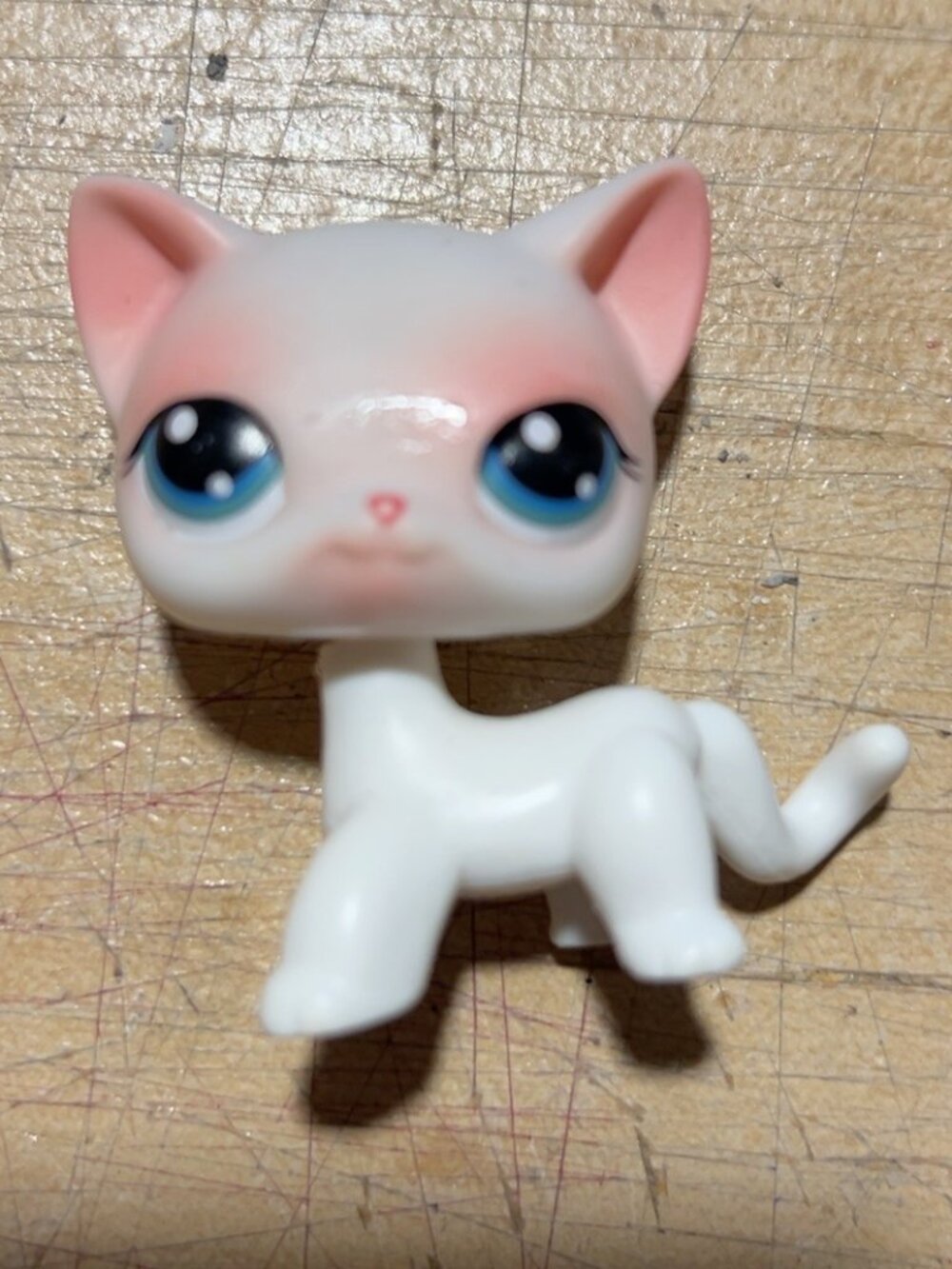 Littlest Pet Shop LPS Authentic White Shorthair Cat Blue Eyes Pink Ears #64